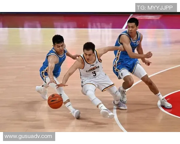 基于三分球投篮距离与命中率的篮球运动员表现建模与分析