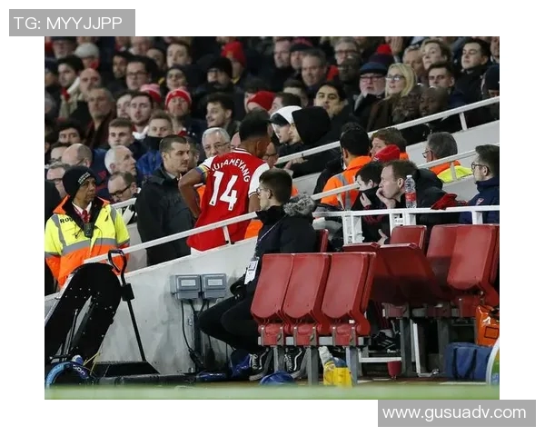 欧洲杯赛后采访爆笑金句引发全场笑声 观众反应热烈