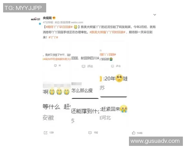 伤病名单因突发举动刷屏全网 热搜榜第一引发广泛关注