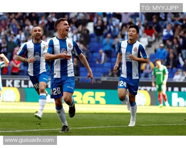 体育数据分析报告:五大联赛进球率变化 体育数据分析报告:五大联赛进球率变化