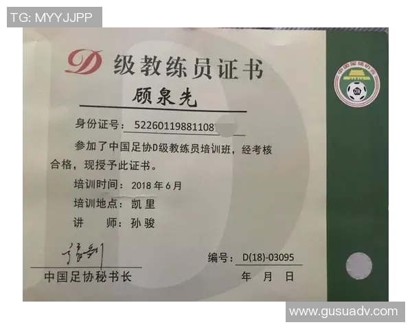 中国足球青训体系发展现状与未来改革路径深度研究报告 中国足球青训体系发展现状与未来改革路径深度研究报告