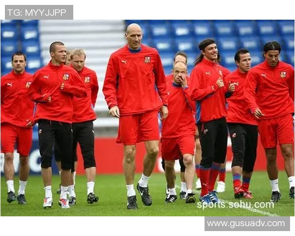 欧洲杯球队备战与赛中调整成功案例分析及其对赛事表现的影响