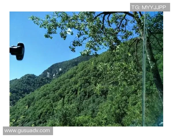 昔日王者篮球八卦状态下滑困境重重如何寻求突破与未来发展路径